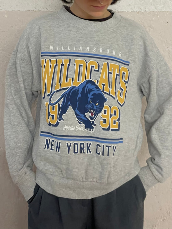 American Wildcats College Pullover Grey Unisex – M